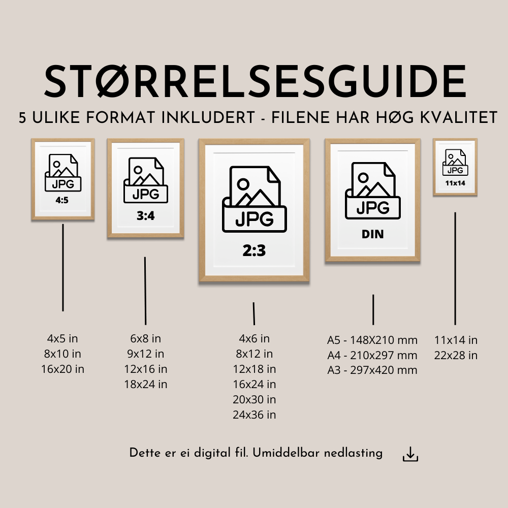 Guide til vaskerommet poster (kvit)