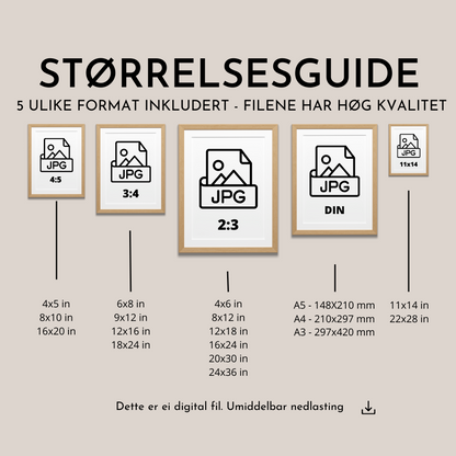 Guide til vaskerommet poster (kvit)