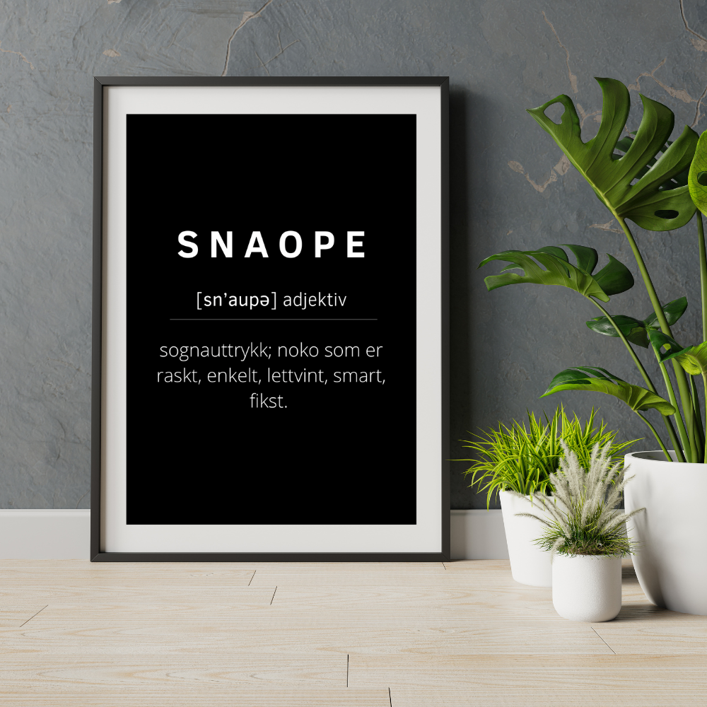 SNAOPE poster